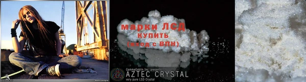 индика Аркадак
