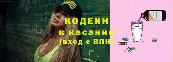 индика Армянск