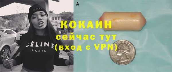 индика Армянск