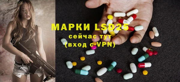 индика Армянск