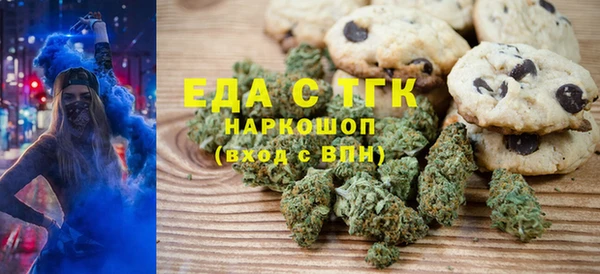 индика Аркадак