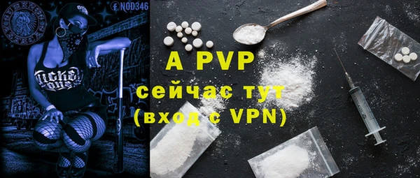 индика Аркадак