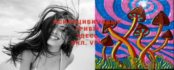 тгк Балабаново
