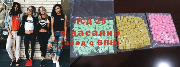 индика Аркадак