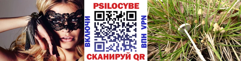 мега как войти  Шелехов  Галлюциногенные грибы прущие грибы 