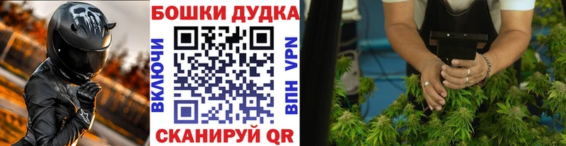 Конопля SATIVA & INDICA  Шелехов 